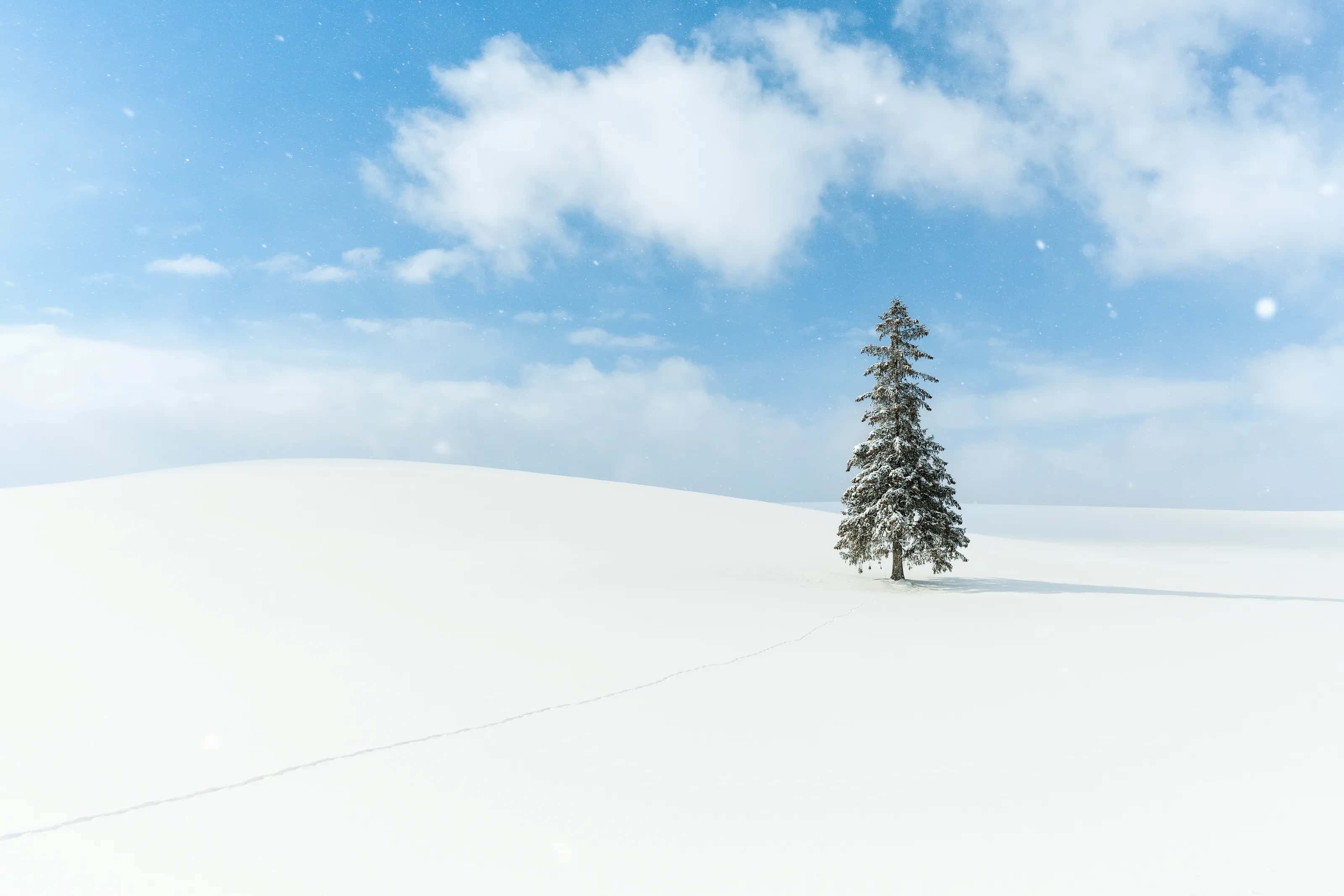 Winter